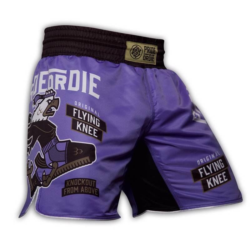 Pride Or Die flying knee MMA Shorts - Purple